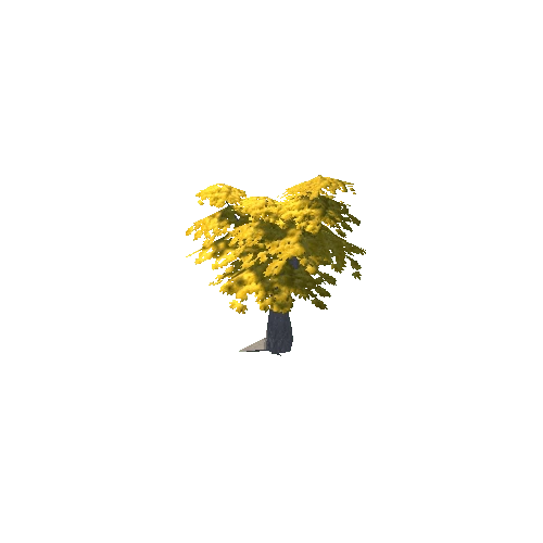Maple Tree Yellow Mid 04